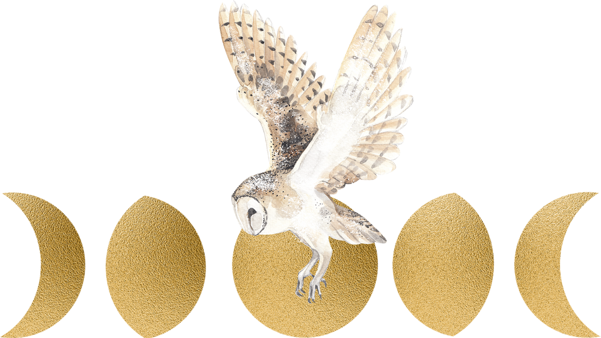 Moon Phases: Harnessing the Power of Lunar Energy