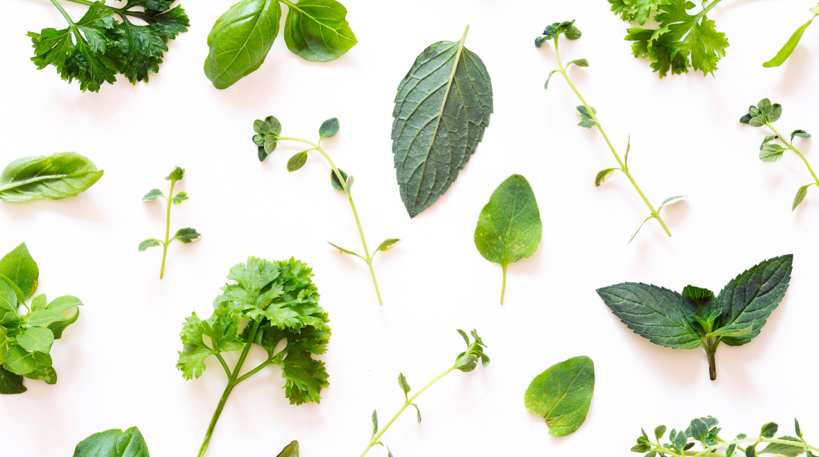 5 Powerful Herbs for Grounding: How to Stay Centered in a Chaotic World