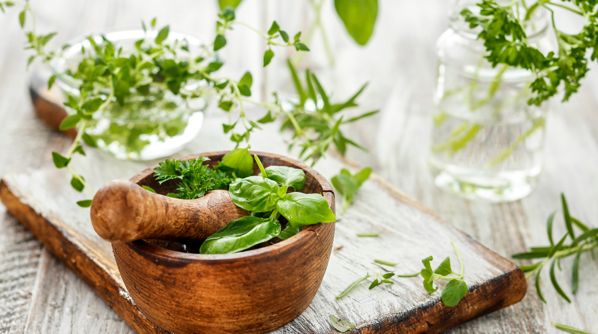 Herbs for Harmony: Harnessing the Power of Nature to Restore Balance in Your Life