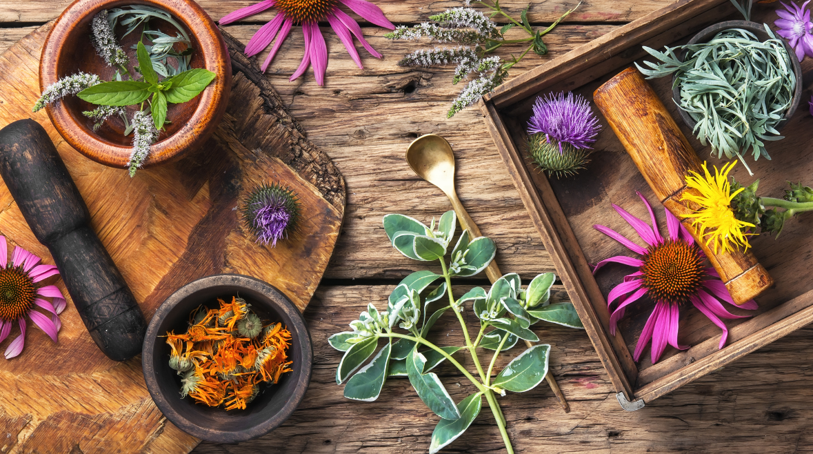 Spice Up Your Love Life: The Top 10 Herbs for Romance